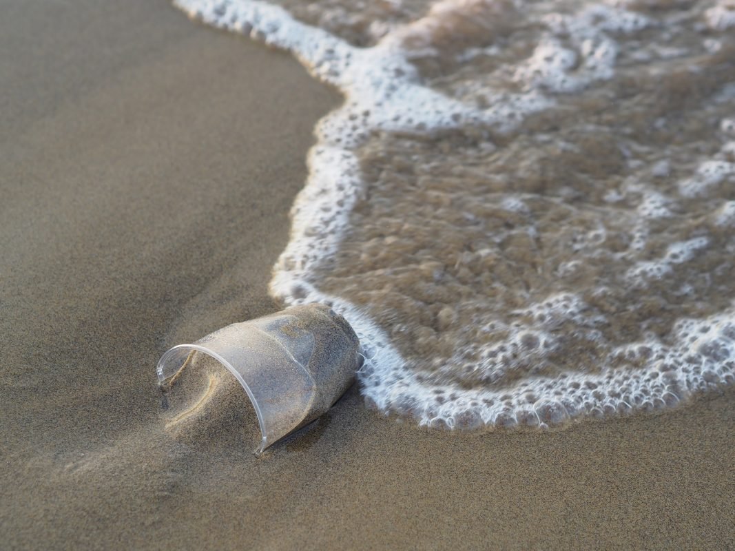 Garbage on Texas Beaches